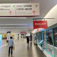 🇰🇷 COEX Aquarium How to Go