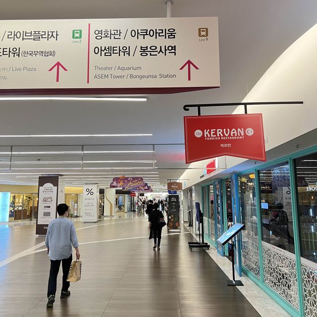 🇰🇷 COEX Aquarium How to Go