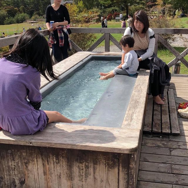 日本🇯🇵家庭好去處❤️清里高原牧場😌清泉寮
