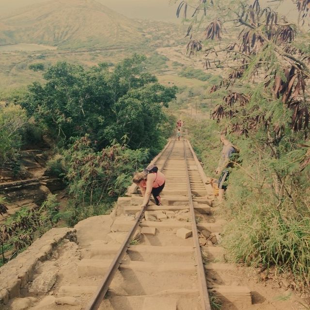 One of the most popular hikes in Honolulu! 