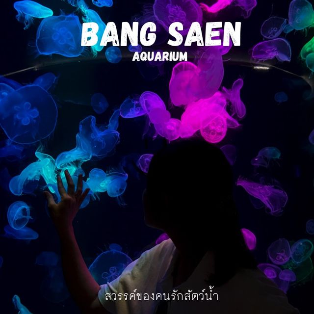 สวรรค์ของคนรักสัตว์น้ำ