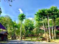 วังน้ำเขียว สวิสเซอร์แลนด์แดนอีสาน