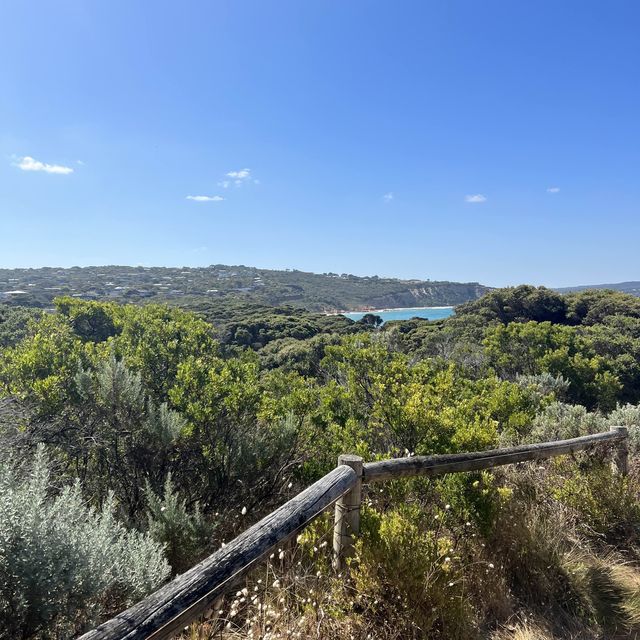 Beach in Anglesea 