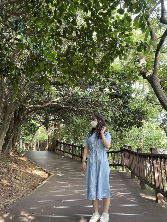 [여수] 오동도