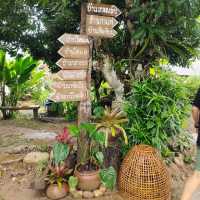 บ้านนอก ฮอกควาย สบายๆ เมืองคอง