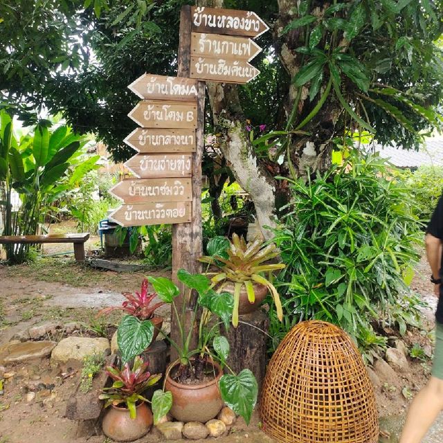 บ้านนอก ฮอกควาย สบายๆ เมืองคอง