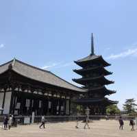 興福寺に行ってみた