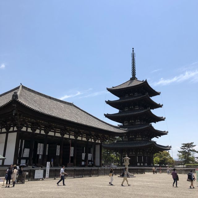 興福寺に行ってみた