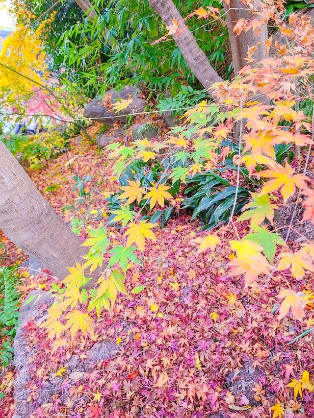 범어사 필수 사진 스팟 📸 