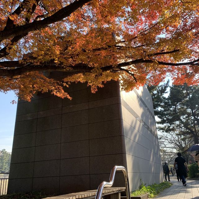 【千代田区】千鳥ヶ淵公園