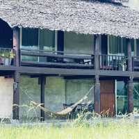 ที่พักวิวทุ่งนา