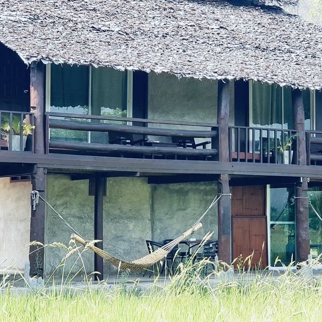 ที่พักวิวทุ่งนา