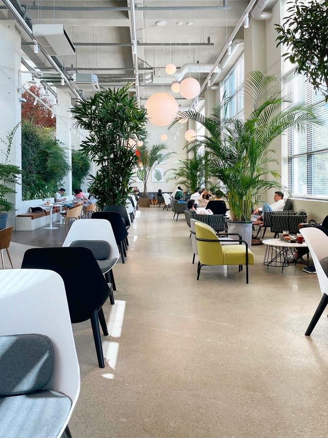식물원 아니고 카페맞아? 싱그러움 가득한 파주카페 🌿