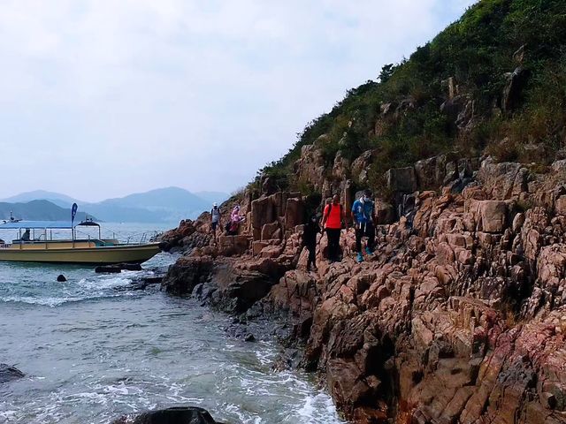 往吊鐘洲觀斷岩奇觀「金魚擺尾」