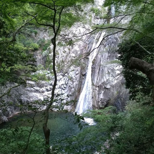 [神戸]短歌にも歌われた神戸の滝✨「布引ハーブ園」