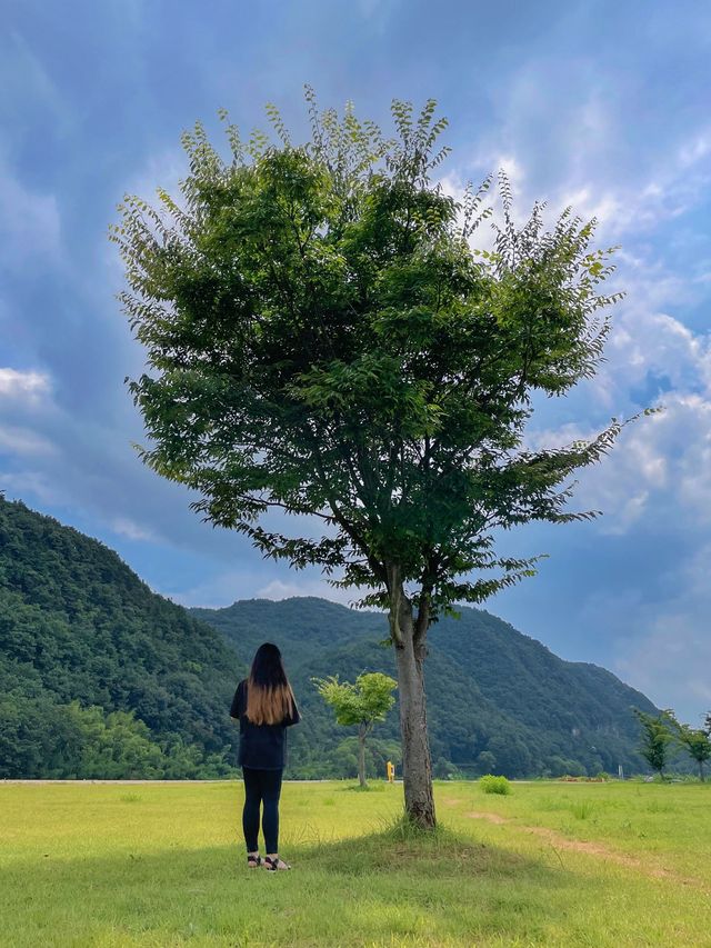 경남 봄나들이 포토스팟 📸