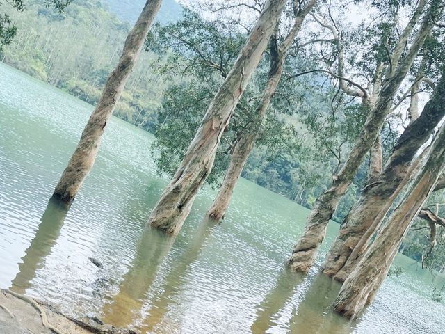 唔會沉悶既行山徑～