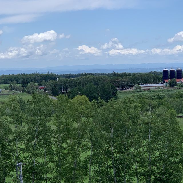 広大な大地が一望😄八千代牧場で北海道ビュー満喫👍