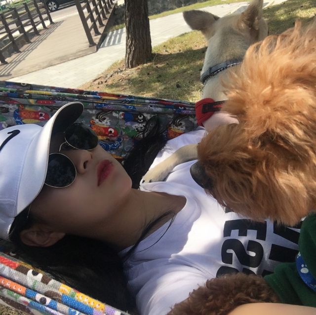도심 속의 캠핑, ⛺️천안 신방공원에서 반려견과 즐기는 여름 소풍