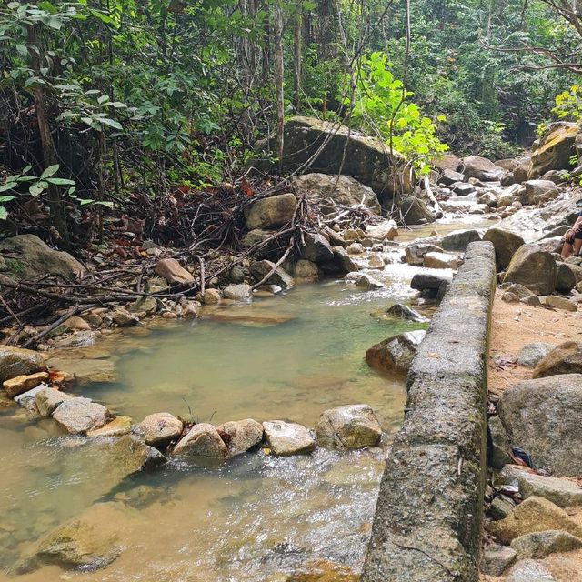 1.5hr steep trail to 654M ⛰️