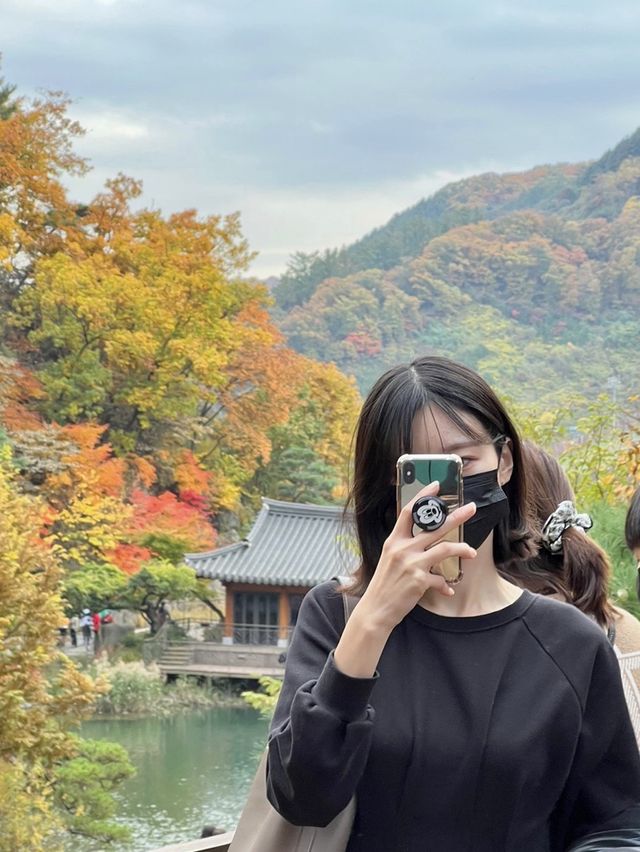 가을 단풍 명소 화담숲 미리보기🍁