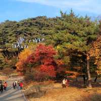 Autum in Hyeonchungsa