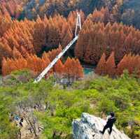 Hanging Bridge