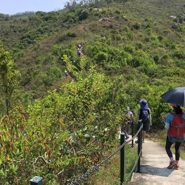 梅窩往愉景灣行山路線，輕鬆易行，景觀優美