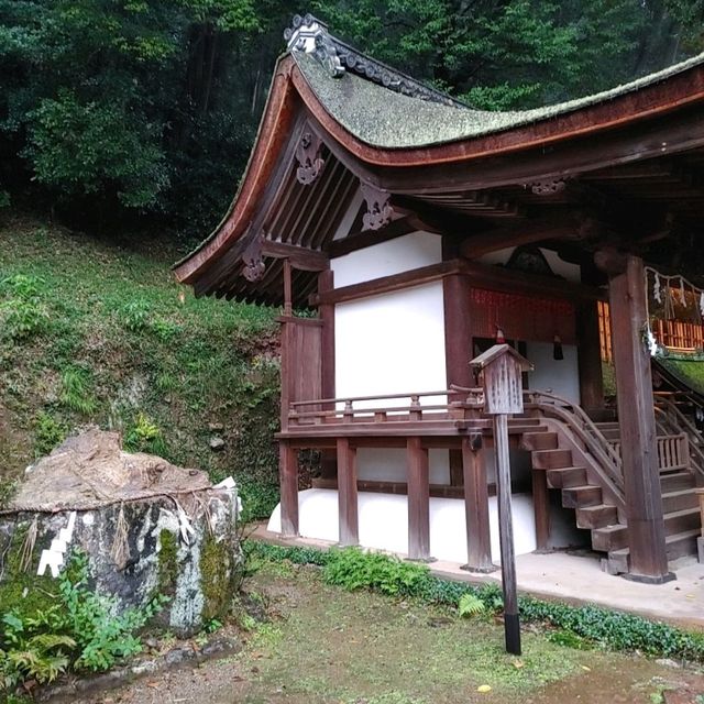 兎に縁のある神社　世界遺産　宇治上神社