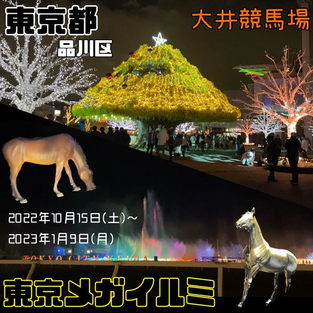 大井競馬場 東京メガイルミ【東京都/品川区】