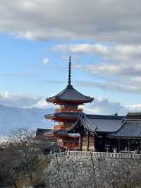 【旅行】✨久遺嘅日本之旅終於出發喇！✨