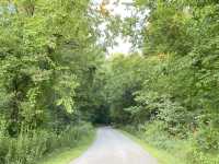 Beech Woodland Trail - Columbus