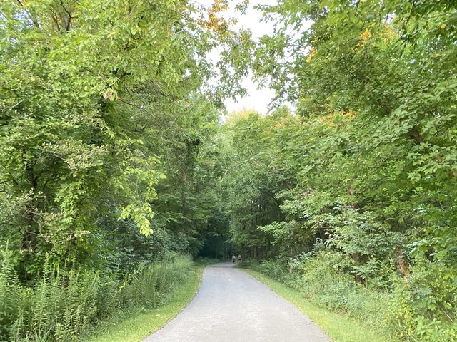 Beech Woodland Trail - Columbus