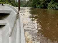 Klias Wetland River Cruise - Borneo, Malaysia