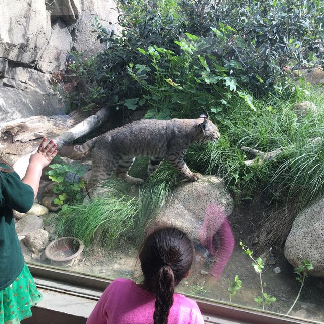 What a furrr-tastic adventure!!!! 
