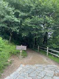 New Found Gap - Smoky Mountains