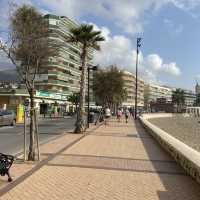 The Beach Boulevard Paseo Maritimo de Rey