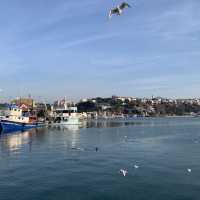 Black Sea Beauty
