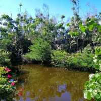 Garden of the Groves, Bahamas
