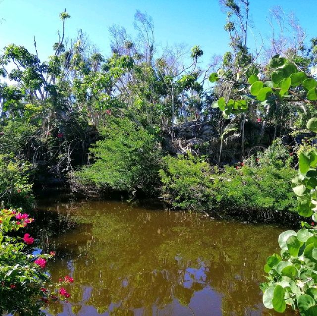 Garden of the Groves, Bahamas