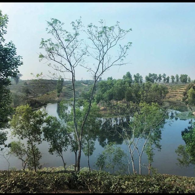 Madhabpur Lake - Sreemangal