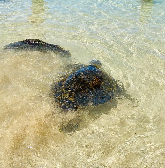 Oahu North Beach