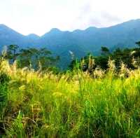 Qiniang Mountain hike in Dapeng