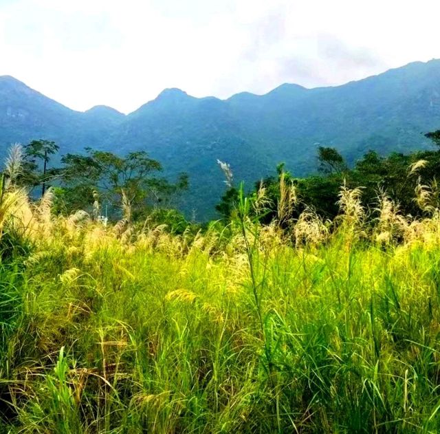 Qiniang Mountain hike in Dapeng