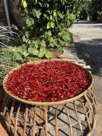 Visit the Dragons of Manzhang Village