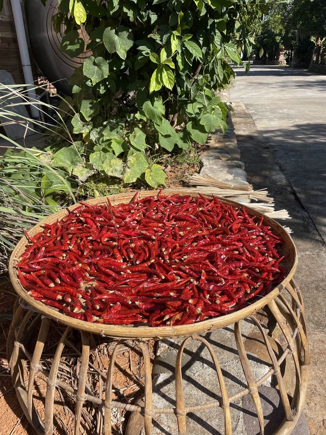 Visit the Dragons of Manzhang Village