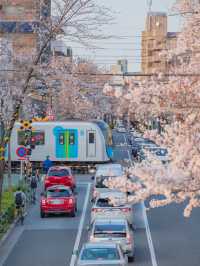 Nakano Ward, Arakawa Yakushi