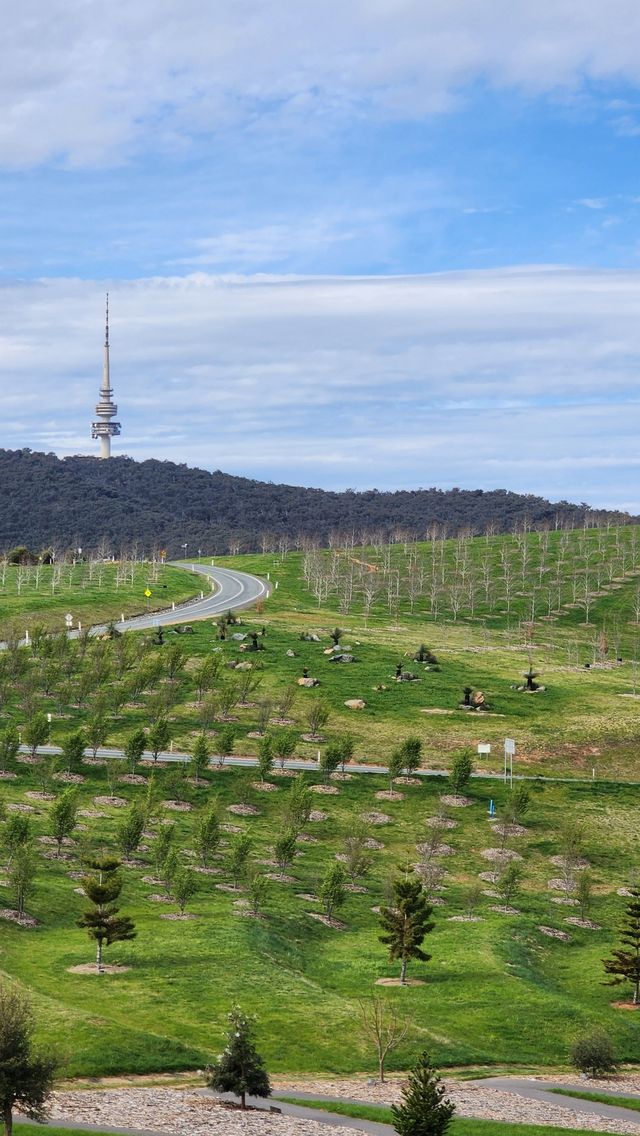 Enjoy the flowers at Canberra Arboretum.