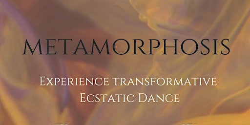 Metamorphosis // Dance of the Visionary | The Soul Hut