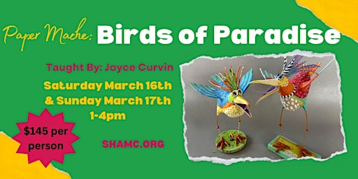 Paper Mache: Birds of Paradise, By: Joyce Curvin | Safety Harbor Art And Music Center